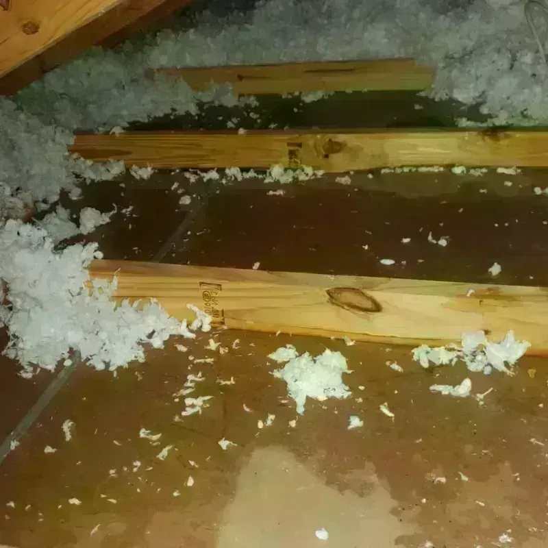 Attic Water Damage in Corry, PA